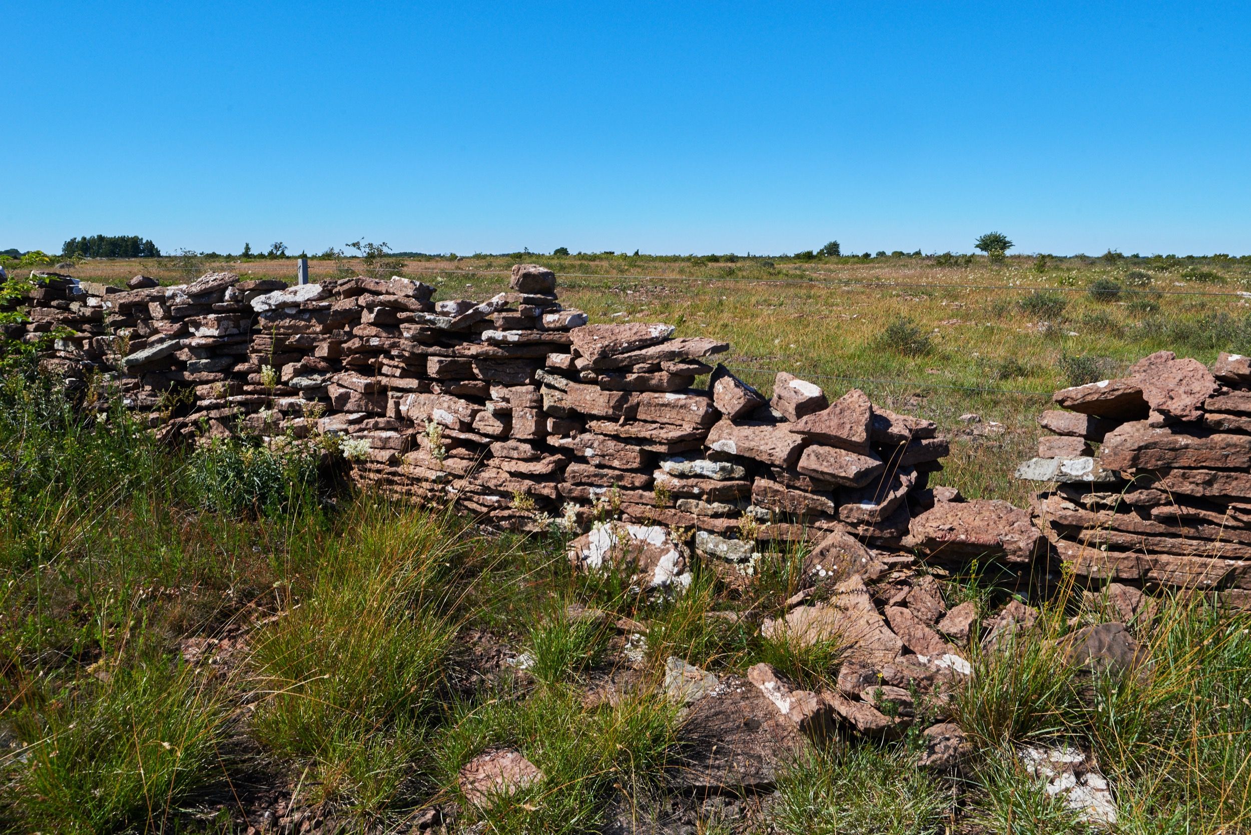 Charakteristische Steinmauer in der Alvaret-Landschaft Ölands mit kalksteinhaltigen Felsen in flacher Heidelandschaft.