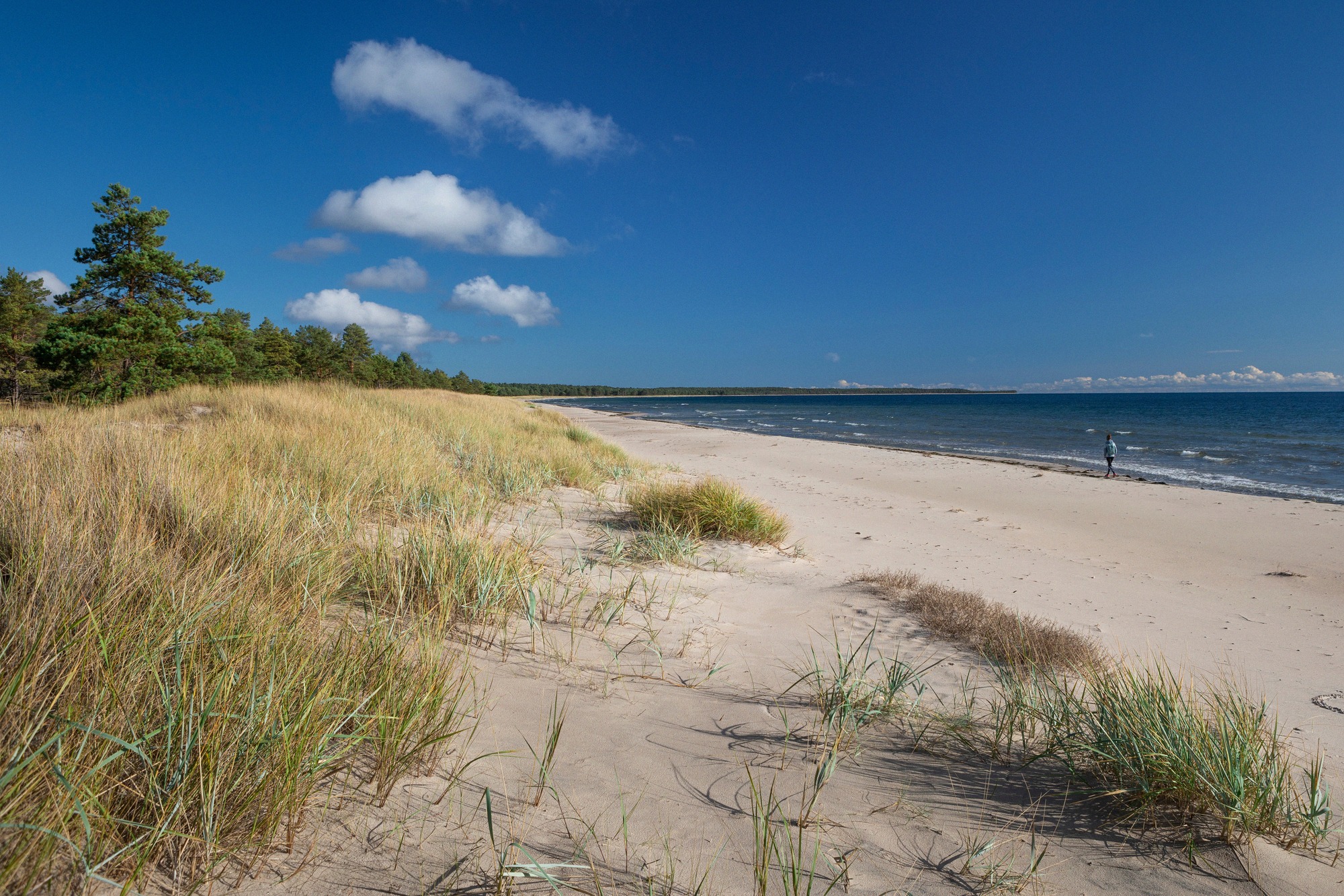 Wide sandy beach with marram grass on Öland's east coast at Lyckesand.